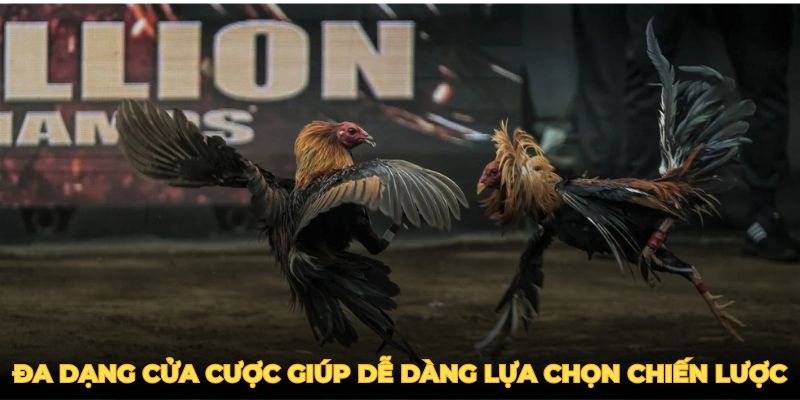 Cung cấp đa dạng cửa cược giúp người chơi dễ dàng lựa chọn chiến lược