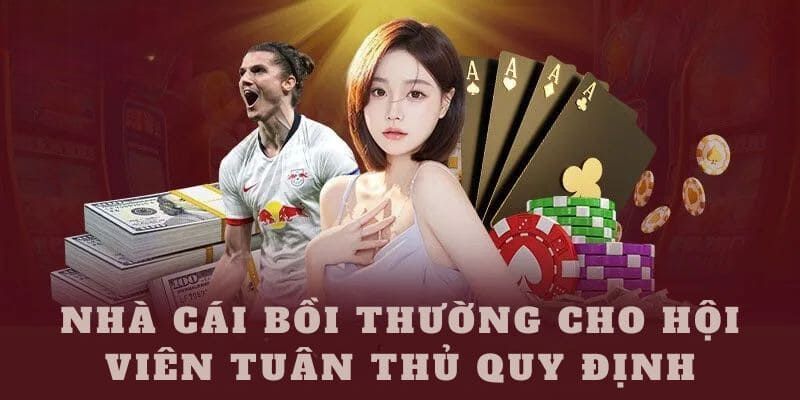 Hội viên cần thực hiện một số nghĩa vụ khi tham gia Kuwin