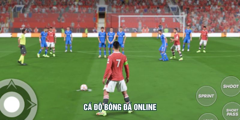 Cá Độ Bóng Đá Online