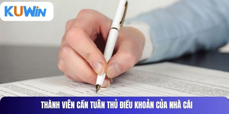 Hiểu đúng về điều khoản sử dụng Kuwin trước khi tham gia