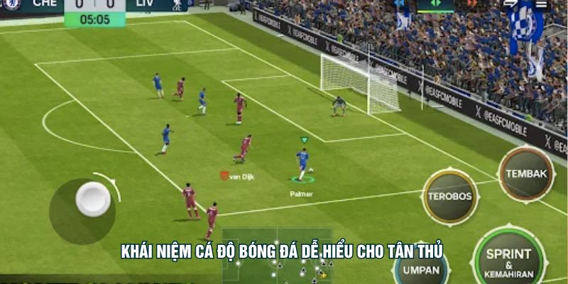 Khái niệm cá độ bóng đá dễ hiểu cho tân thủ