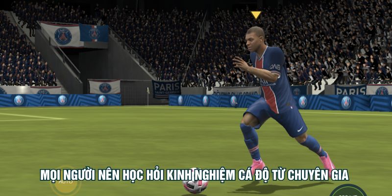 Mọi người nên học hỏi kinh nghiệm cá độ từ chuyên gia