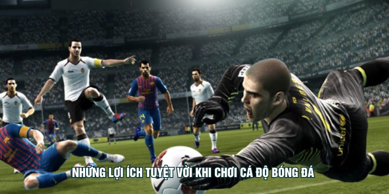 Những lợi ích tuyệt vời khi chơi cá độ bóng đá